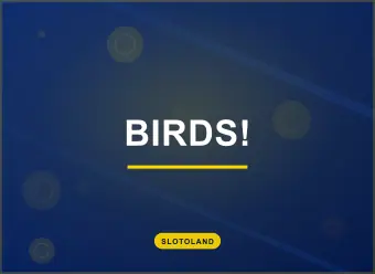Birds!