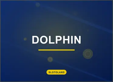 Dolphin