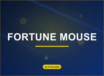 Fortune Mouse