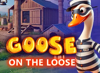 Goose on The Loose