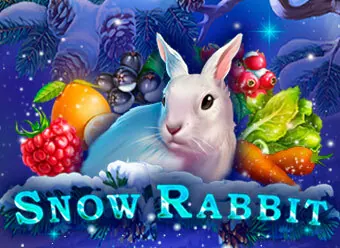 Snow Rabbit
